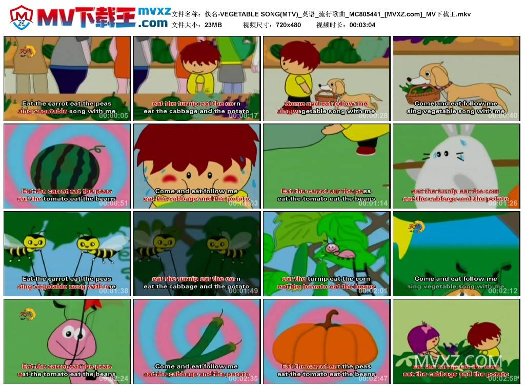 佚名-VEGETABLE SONG(MTV)_英语_流行歌曲_MC805441
